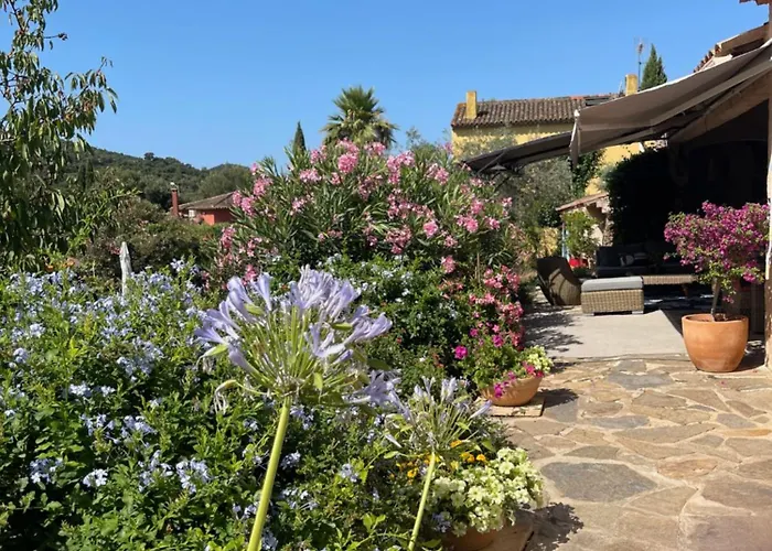 La Borreliane 耶尔